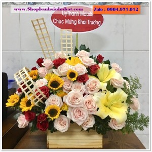 Hoa Tươi Tặng Khai Trương - OK46